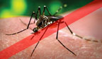 Fábrica com maior capacidade de produção do mosquito que combate a dengue